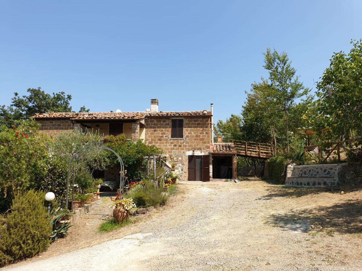 Le Querciolaie Monte Cavallo - Upper Apartment Saturnia Exteriör bild